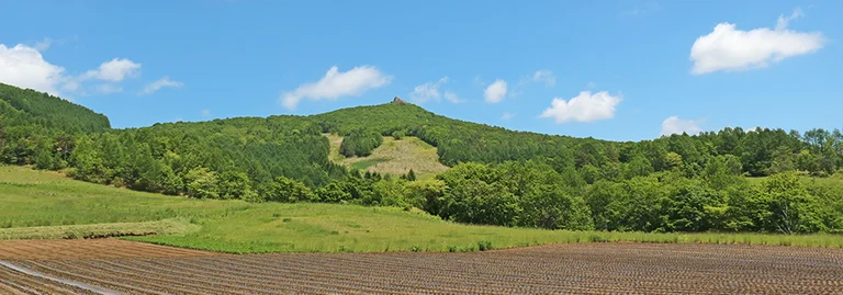 川井赤紫苏酱料