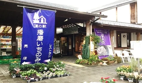 Harima Ichinomiya - Image 2