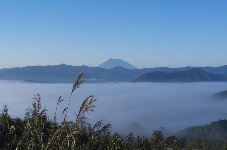 赤井川村豆类组合