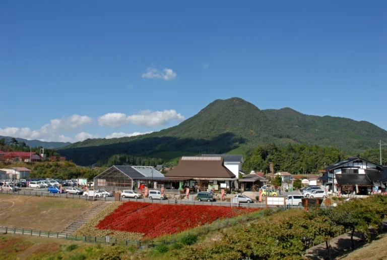 Toyohira Donguri Village