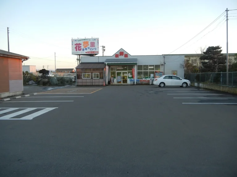 Kamusamato Niitsu - Image 2