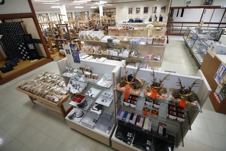 Hirose-Toyoda Castle - Image 2