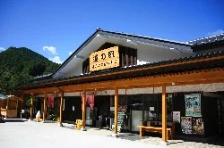 Oasis Nanmoku