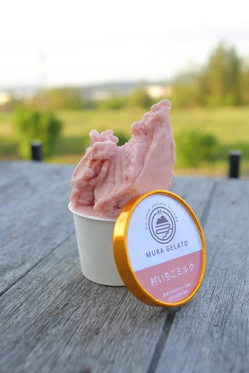 Village Specialty Store