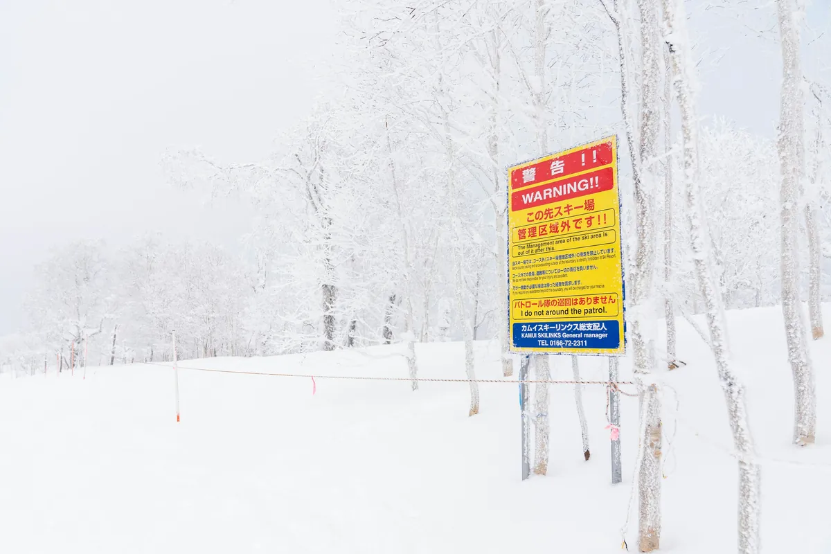 Powder Paradise: Tohoku's Century-Old Skiing Legacy