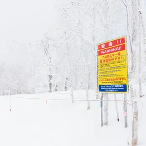 Powder Paradise: Tohoku's Century-Old Skiing Legacy