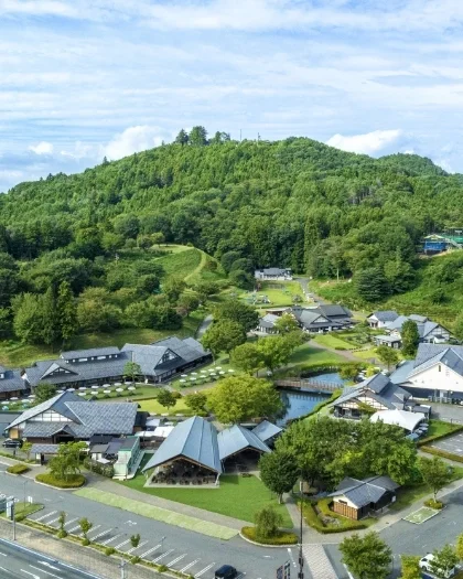 ブルーベリー果醬