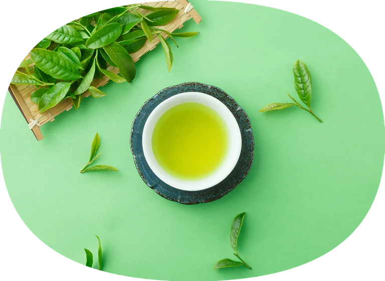 Tsuchiyama Specialty Store