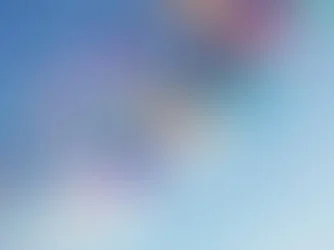 Local Specialty Food Set