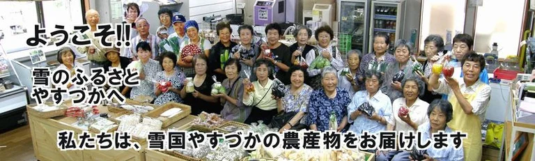 Snow Storage Warehouse