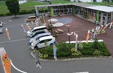 Kazo Wataraseriver - Image 2