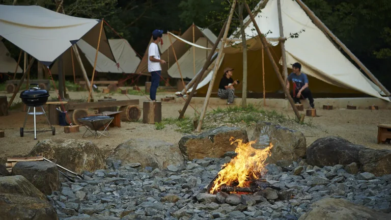 Organic Mixed Vegetables