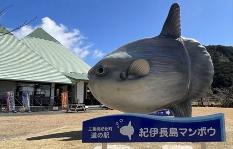 Kii Nagashima Manbou - Image 2