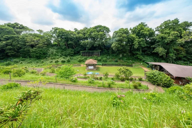 Kurimoto Benizakuracho no Sato - Image 3