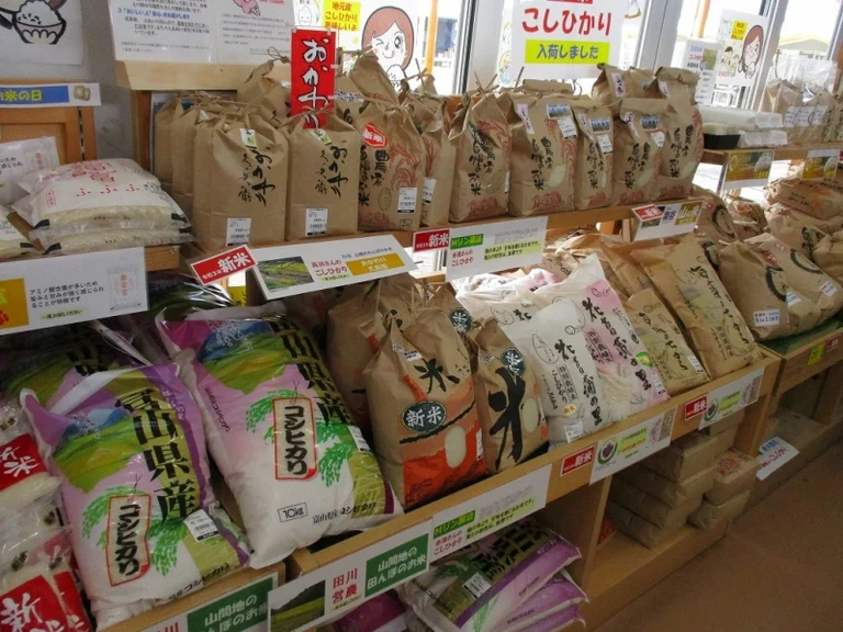 Märchen Oyabe - Image 3