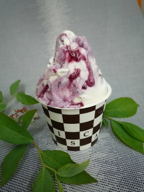 Nasu Yoichi no Sato - Image 2