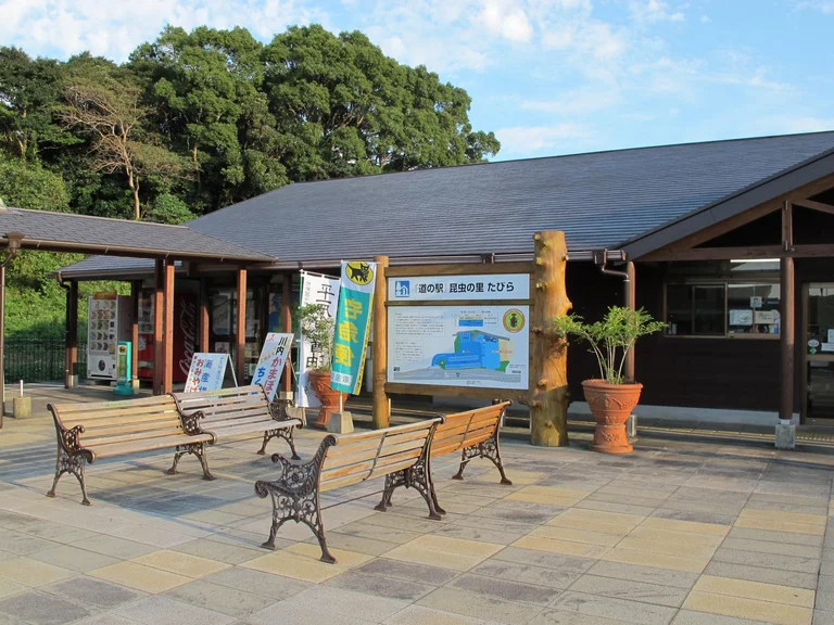 Local Produce Market