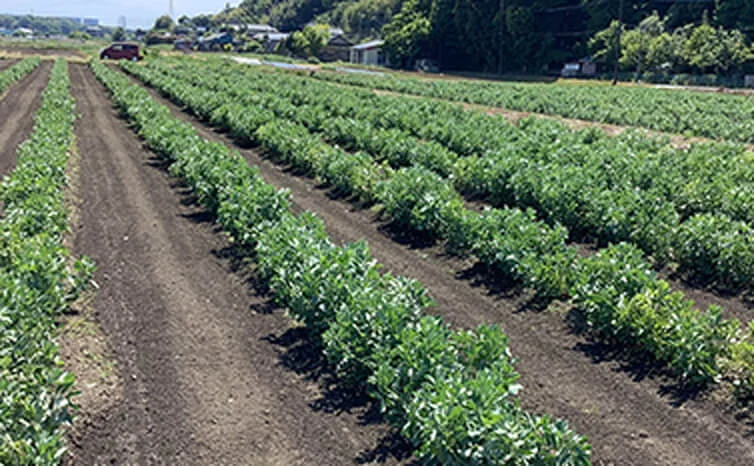 아이스공방 푸티샤테리