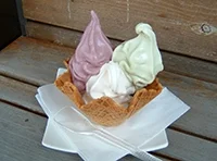 Konjac Ice Cream