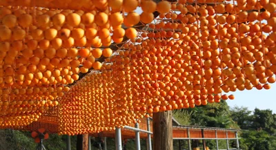 Kushigaki no Sato - Image 2