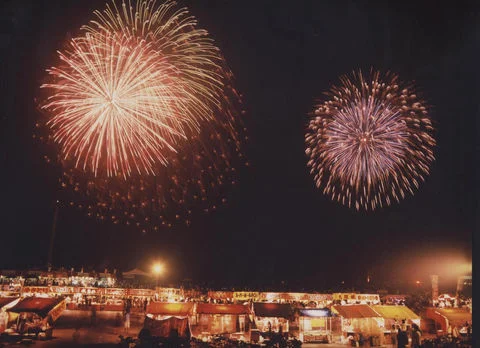 御前崎无花果干