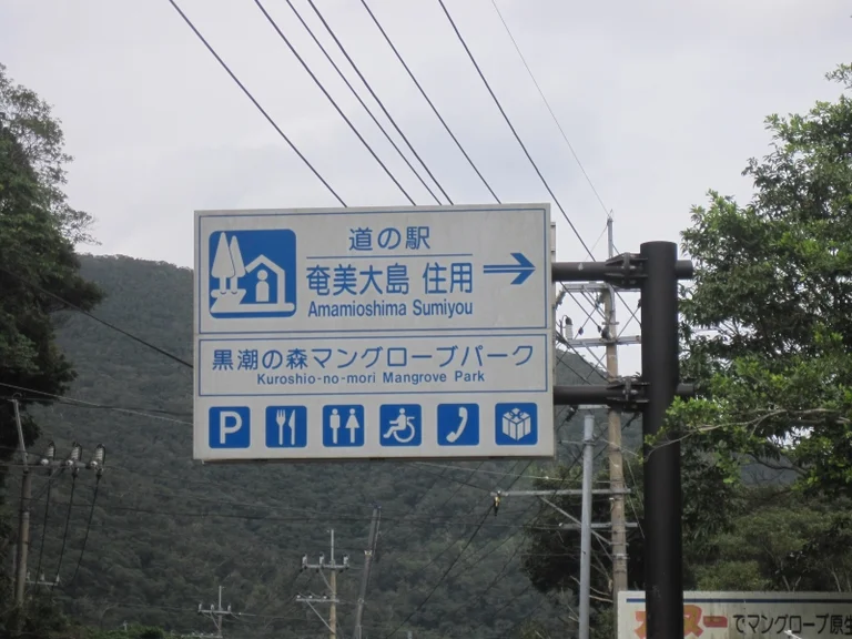 Amami Oshima Sumiyoshi - Image 3