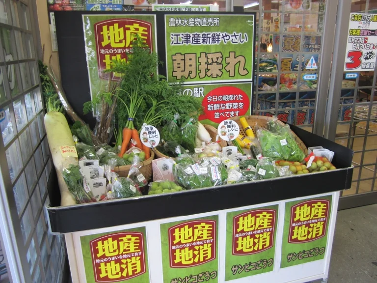 Sun Pico Gozu - Image 2