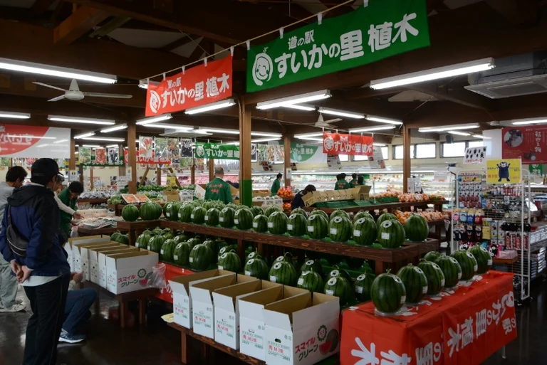 Suika no Sato Ueki - Image 2