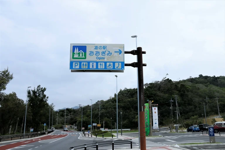 Ogimi Yambaru Forest Visitor Center - Image 3