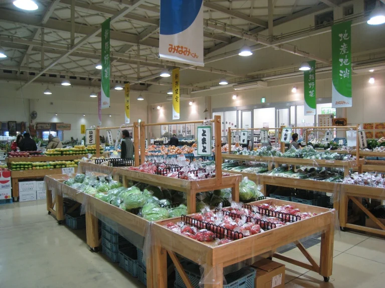 Uwajima Kisaiya Plaza - Image 2