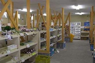 Local Produce Sales Corner