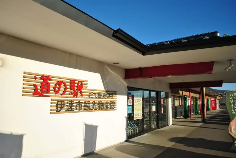 Date Historical Forest - Image 3