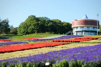流冰馆纪念徽章