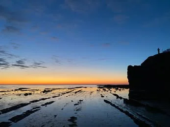 白海参纪念徽章