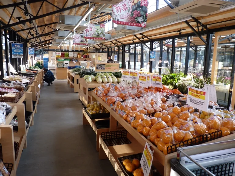 Bingo Fuchu - Image 3