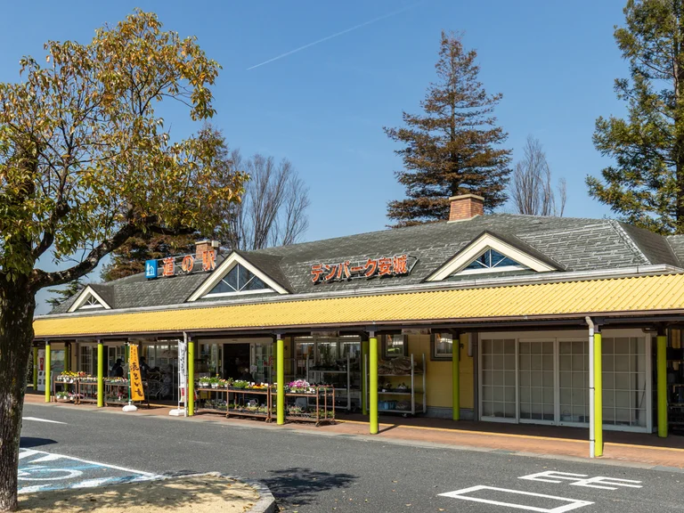 Denpark Anjo - Image 3