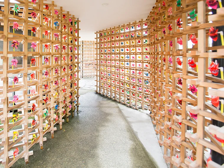 Awacu Land - Image 3