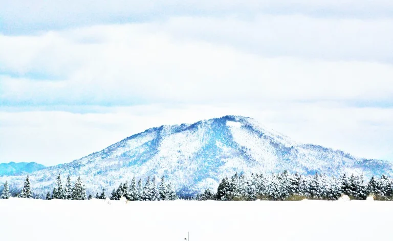 阿武町紀念明信片組