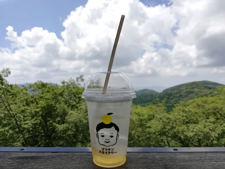 Tanabe City Ryujin Gomasan Sky Tower - Image 3