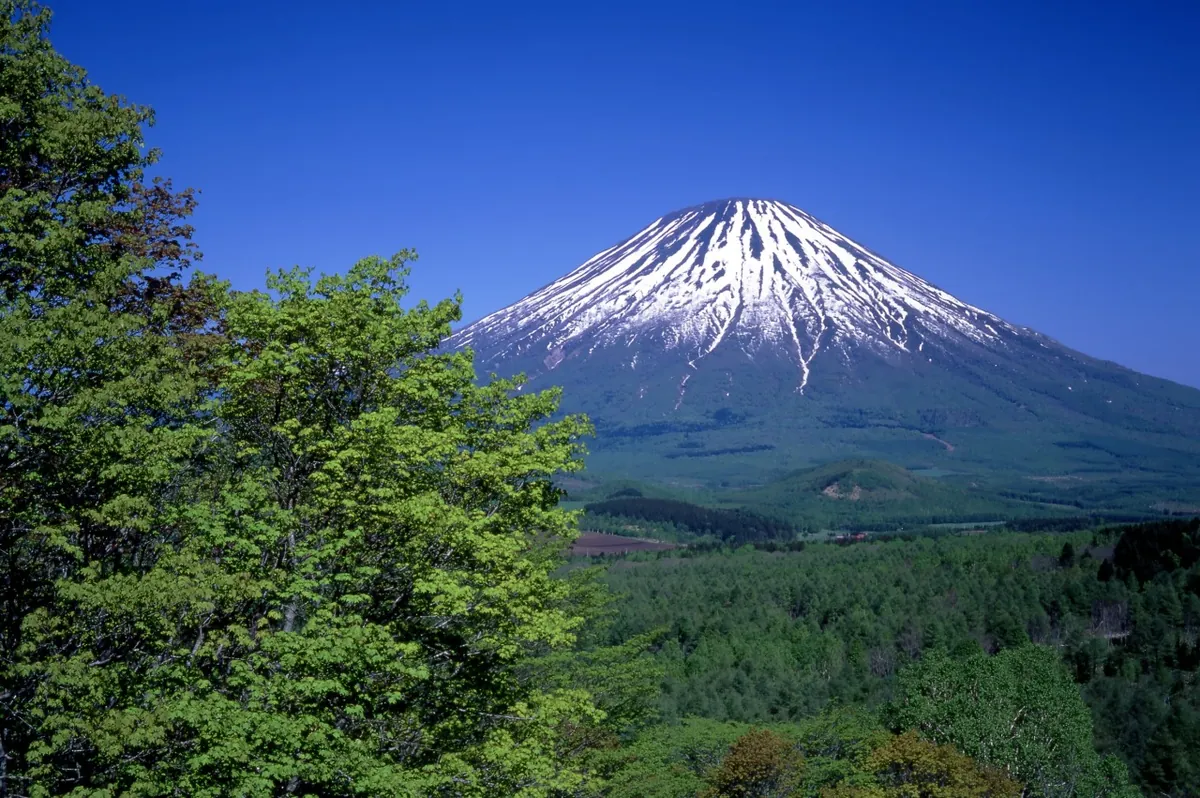 Spring in Niseko brings vibrant green valleys contrasting with Mount Yotei's snow-capped peak