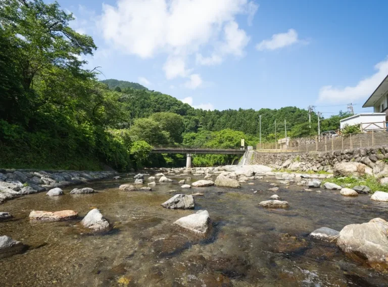 Kajyu Koen Ashigakubo - Image 3