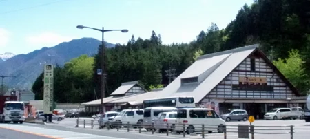 Kiso Pine Needle Pickle