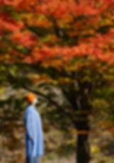 龙之瞳与米饭伴侣套装