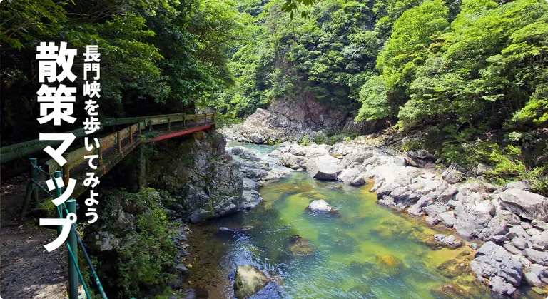 Nagato Kyo - Image 3