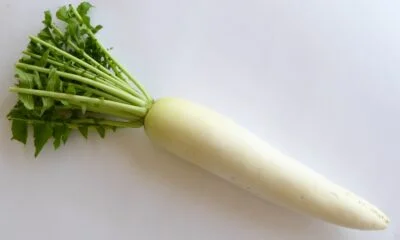 Seasonal Vegetable Assortment (6–8 items)