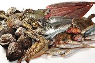 Aristo Numakuma - Image 2