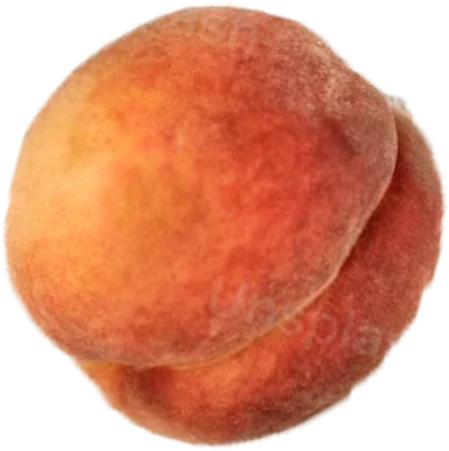 Rice Flour Baking Mix