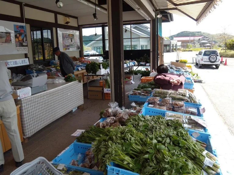 Souvenir and Craft Shop