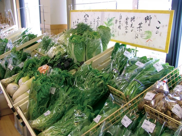 Kita Harima Eco Museum - Image 3