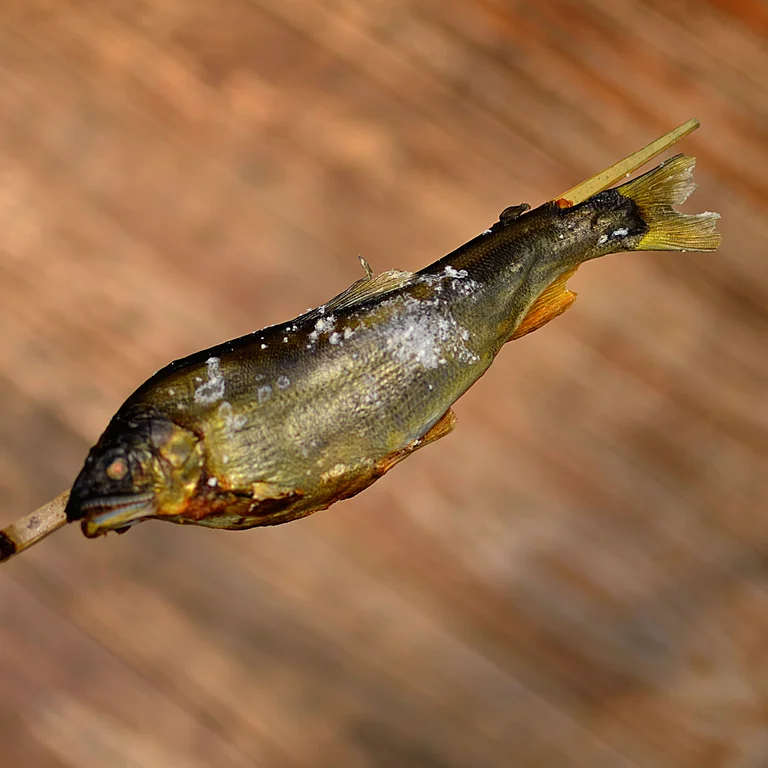 Grilled Ayu Fish Restaurant